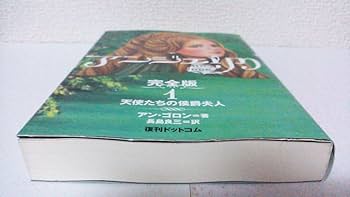 宝塚歌劇原作　アンジェリク 講談社版1巻から22巻、24巻 計23冊　初版含む 宝塚歌劇原作 アンジェリク 講談社版1巻から22巻、24巻 計23冊